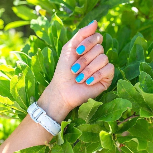 Color Street Other - Color Street Blue-Dapest